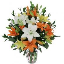 6 Stem Assorted Lilies in a Vase 6 Stem Assorted Lilies in a Vase